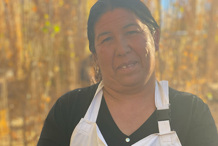 Doña Alicia — Calingasta